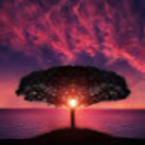 Meet your Posher, Eulalia